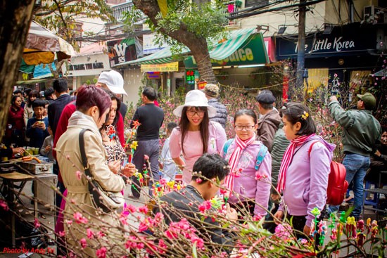 Danh sach 5 cho hoa Tet noi tieng o Ha Noi