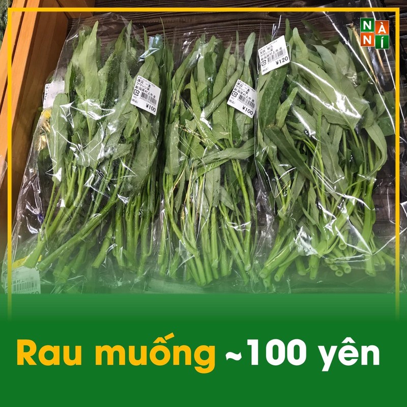 Rau muong xuat ngoai dat co nao?-Hinh-4