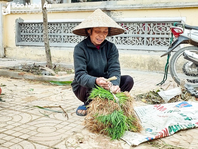 Thu vi phien cho ban lua non doc la o Nghe An-Hinh-6