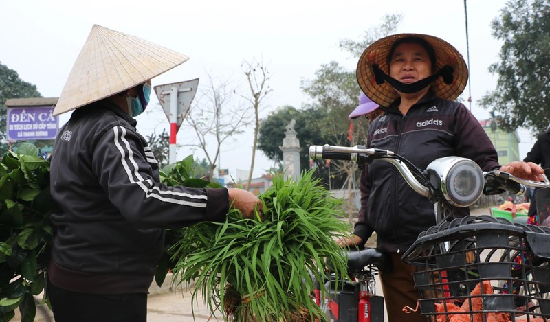 Thu vi phien cho ban lua non doc la o Nghe An-Hinh-8