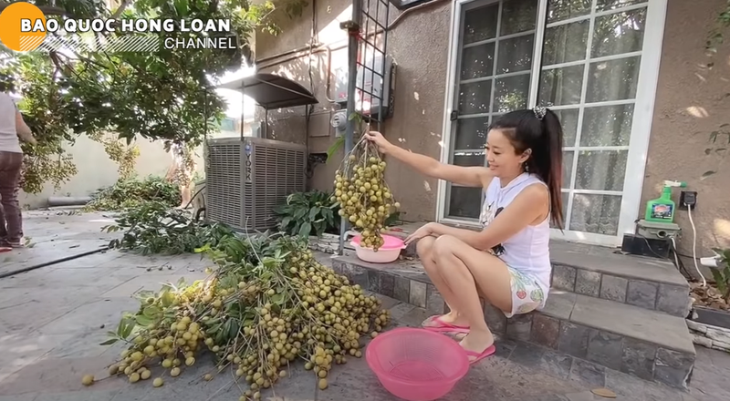 Chi tiet khu vuon ngap cay trai cua NSUT Bao Quoc tai My-Hinh-6