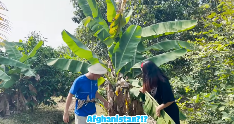 Ben trong khu vuon co nhieu cay an trai cua Tiet Cuong-Hinh-5