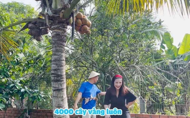 Ben trong khu vuon co nhieu cay an trai cua Tiet Cuong-Hinh-8