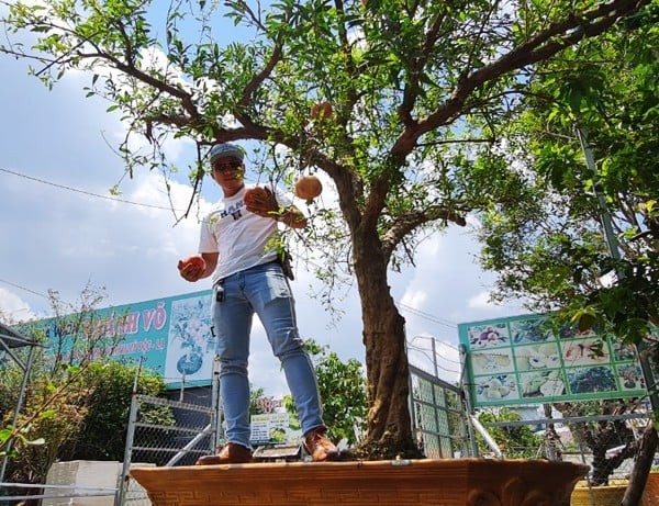 Ngam luu bonsai co thu 100 trieu khien dai gia me man-Hinh-4