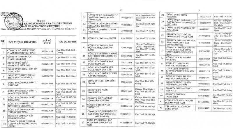 Vi sao Bitexco, Hai Phat Invest, Son Kim, TNR Holdings… vao dien bi kiem tra thue?