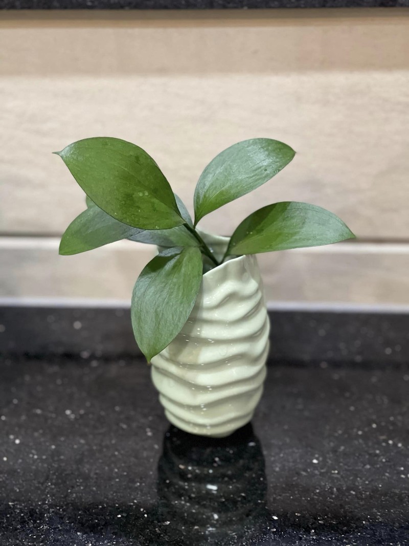Cận cảnh biệt thự ngập hoa tươi của diễn viên Vân Trang - Hình 12 Can canh biet thu ngap hoa tuoi cua dien vien Van Trang-Hinh-12