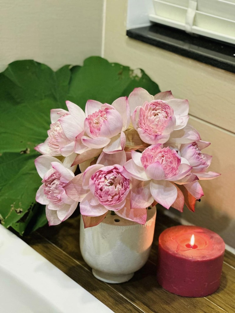 Cận cảnh biệt thự ngập hoa tươi của diễn viên Vân Trang - Hình 2 Can canh biet thu ngap hoa tuoi cua dien vien Van Trang-Hinh-2