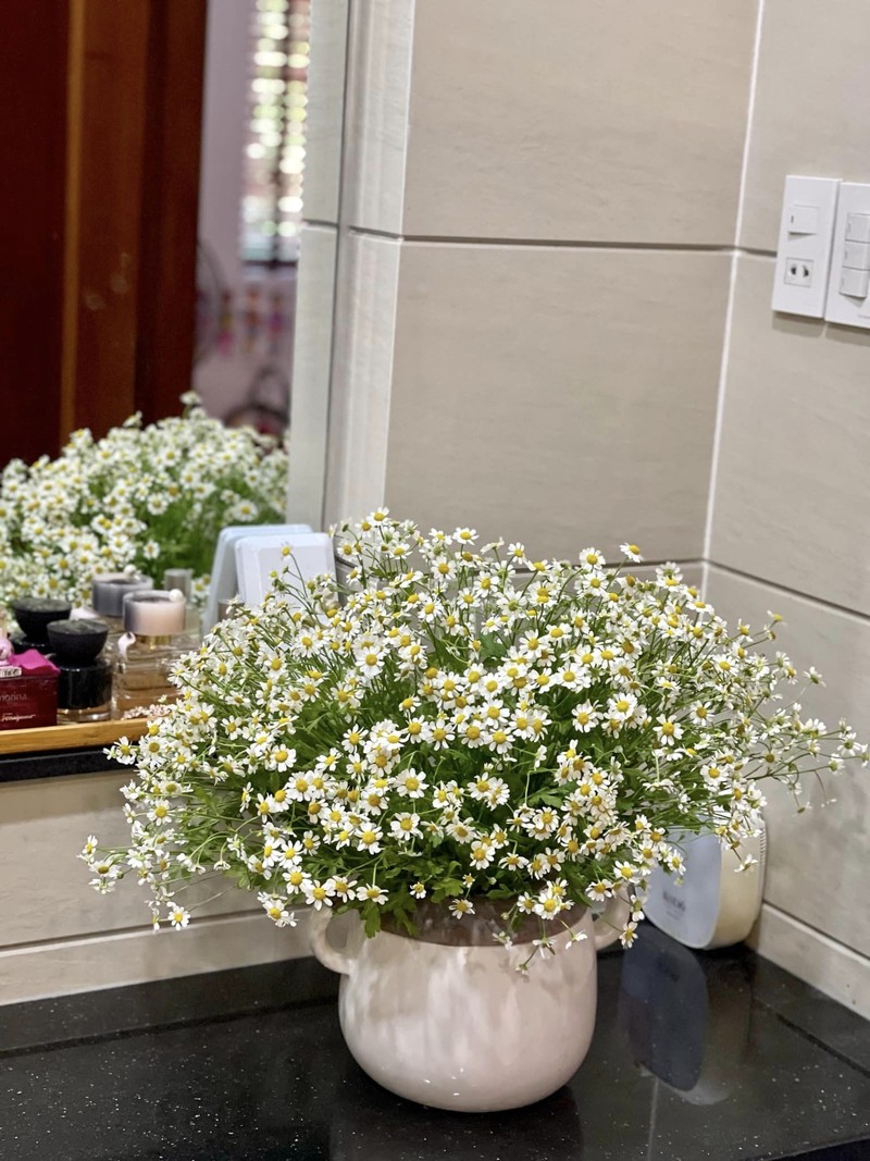 Cận cảnh biệt thự ngập hoa tươi của diễn viên Vân Trang - Hình 6 Can canh biet thu ngap hoa tuoi cua dien vien Van Trang-Hinh-6