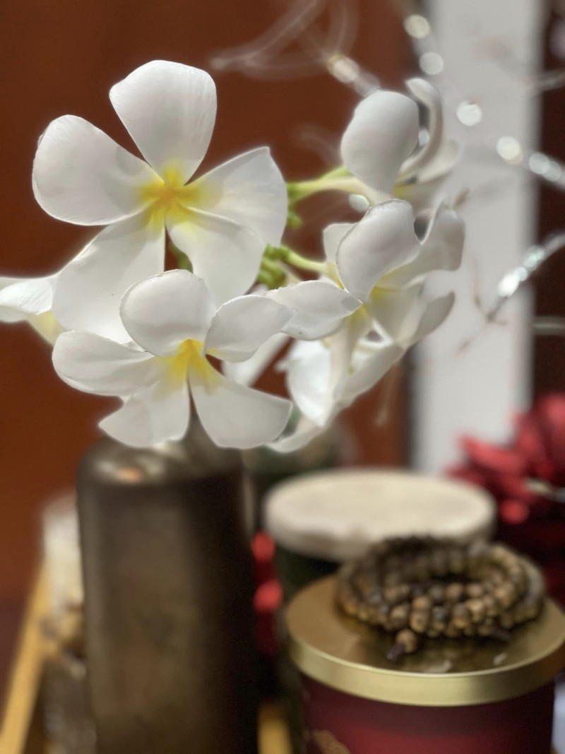 Cận cảnh biệt thự ngập hoa tươi của diễn viên Vân Trang - Hình 8 Can canh biet thu ngap hoa tuoi cua dien vien Van Trang-Hinh-8