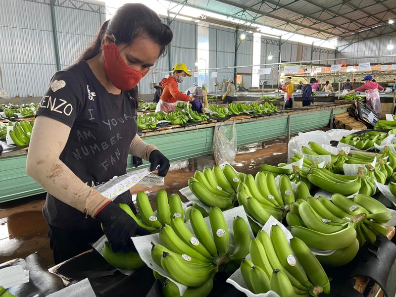 Ben trong trang trai trong chuoi hang nghin ha cua dai gia Doan Nguyen Duc-Hinh-12