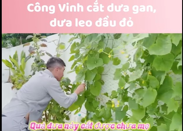 Can canh khong gian song sang chanh cua vo chong Cong Vinh - Thuy Tien-Hinh-9