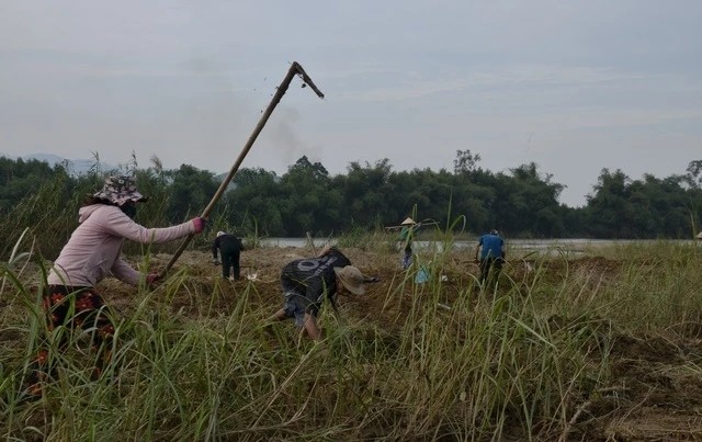 Sung dat 'than duoc phong the' dat do tinh bang tien trieu-Hinh-9