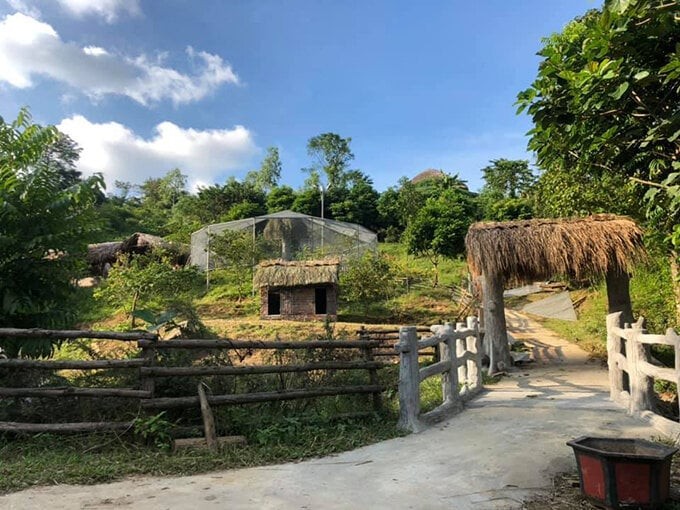 Cơ ngơi khủng của 3 “ông hoàng nhạc đỏ” Việt Nam - Hình 2 Co ngoi khung cua 3 “ong hoang nhac do” Viet Nam-Hinh-2