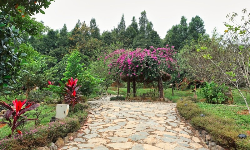 Cơ ngơi khủng của 3 “ông hoàng nhạc đỏ” Việt Nam - Hình 4 Co ngoi khung cua 3 “ong hoang nhac do” Viet Nam-Hinh-4