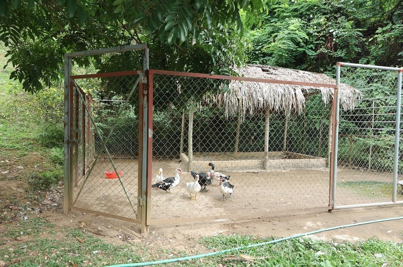 Cơ ngơi khủng của 3 “ông hoàng nhạc đỏ” Việt Nam - Hình 6 Co ngoi khung cua 3 “ong hoang nhac do” Viet Nam-Hinh-6