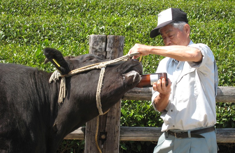 Vi sao thit bo Matsusaka dat hon vang?-Hinh-3