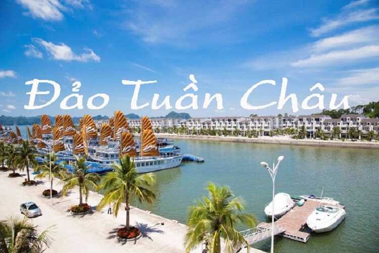 Chan dung dai gia dat Quang chi tien lam duong noi dao voi dat lien-Hinh-6