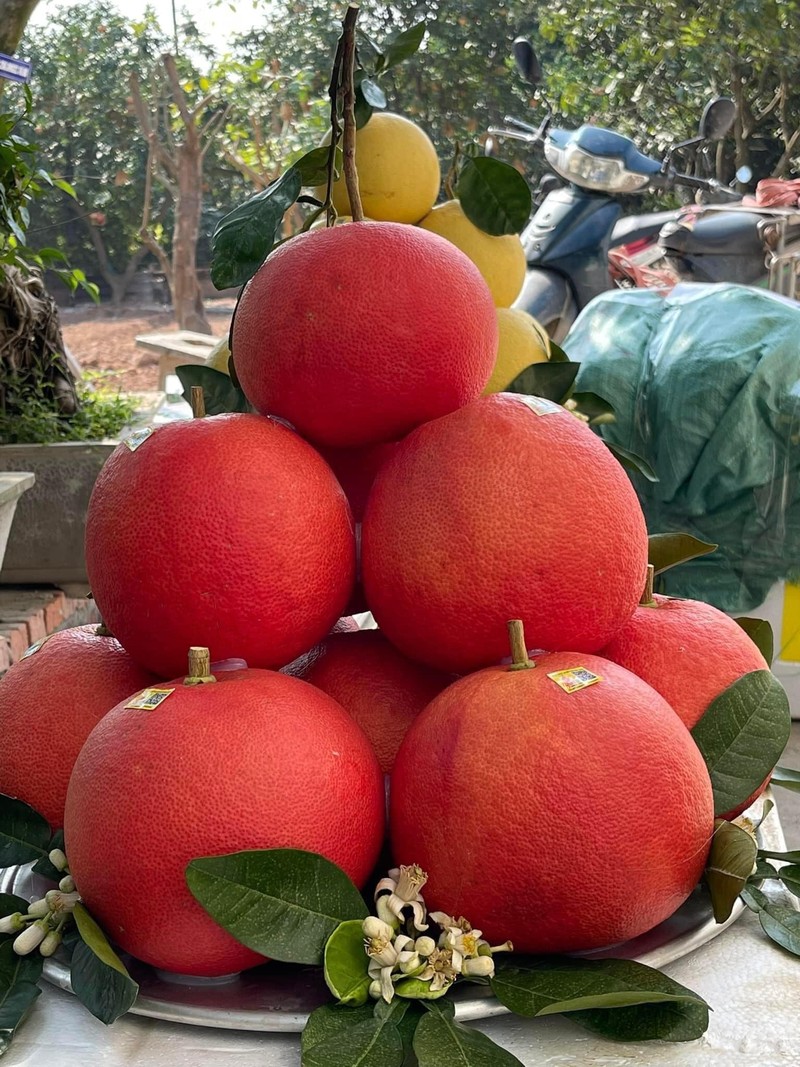 Loai buoi tien vua co gi dac biet ma cu den Tet nha giau tranh nhau mua?-Hinh-4