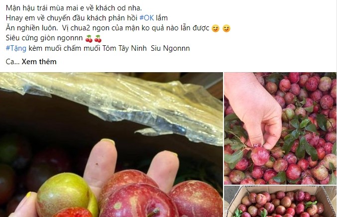 'Chay hang' man hau trai mua du gia gan nua trieu dong/kg