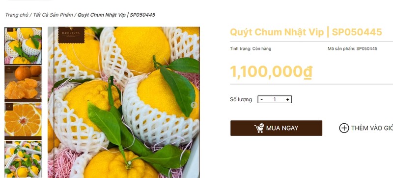 Quyt chum giong Nhat trong tai Trung Quoc chi 20.000 dong gay sot