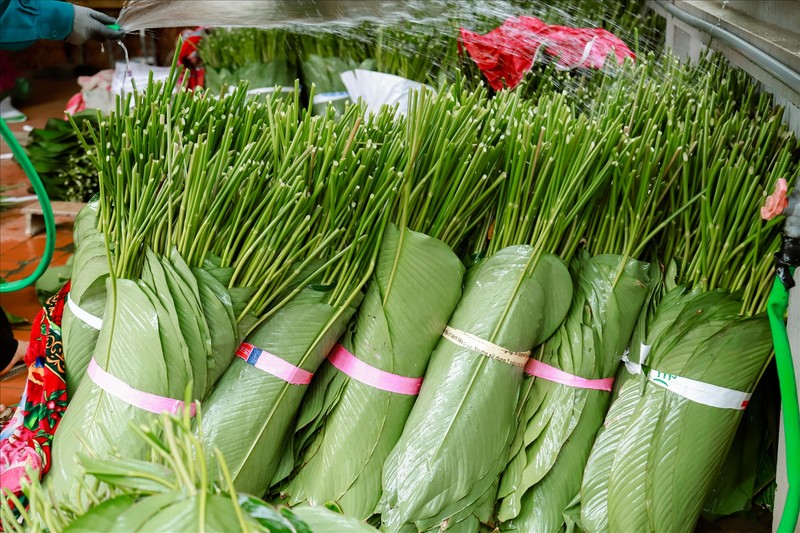 Nhon nhip vao mua Tet cua lang la dong tram tuoi o Ha Noi-Hinh-8