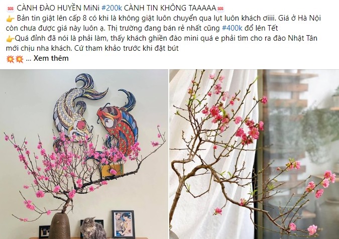 Dao huyen mini hut khach dip Tet-Hinh-2