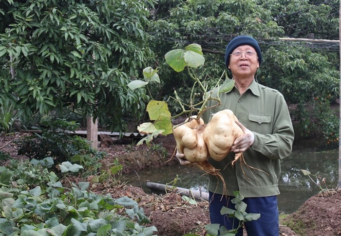 Trao luu san cu dau khong lo de choi Tet-Hinh-2