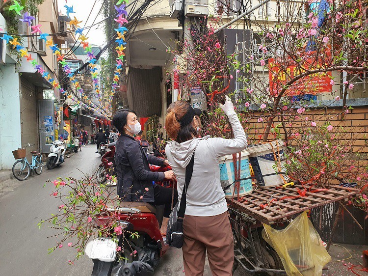 Dao, quat mini bat ngo dat hang ngay can Tet