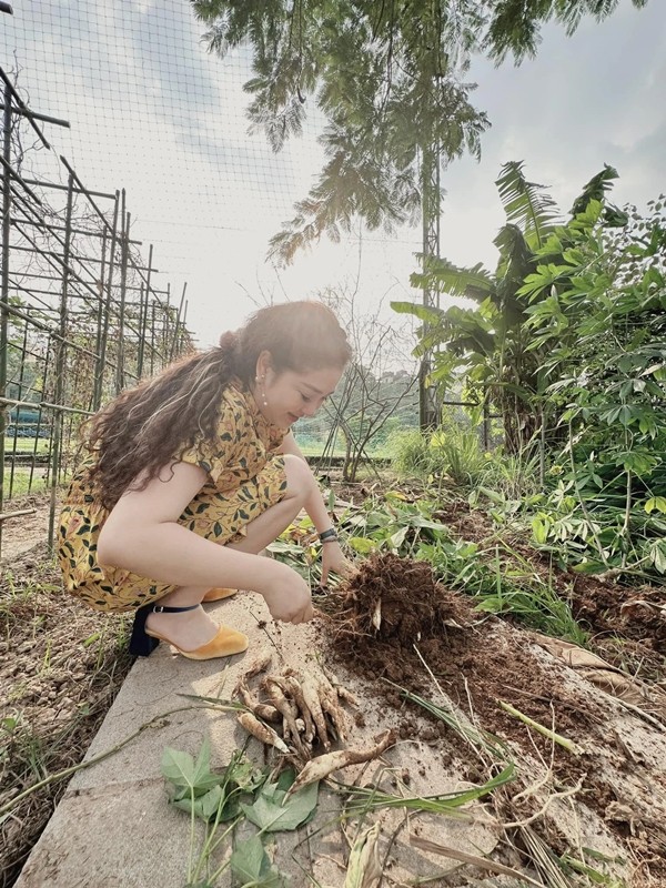 Biet thu xanh muot mat cay trai cua Hoa hau Nguyen Thi Huyen-Hinh-4