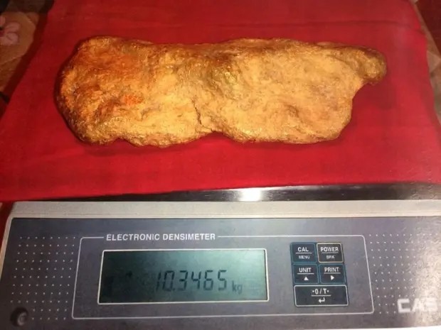 Nguoi dan ong dao duoc cuc vang khong lo nang 10kg-Hinh-2