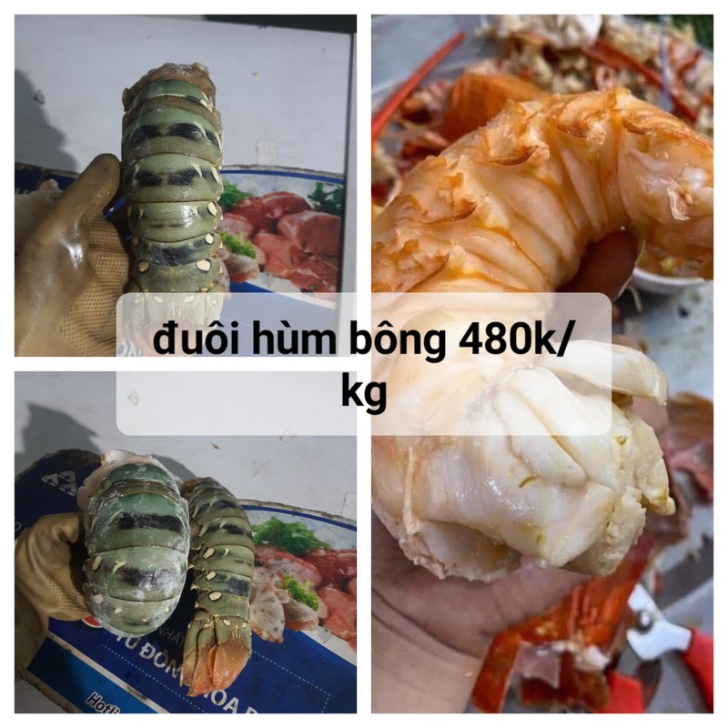 Tom hum bong bat ngo duoc rao ban voi gia chi tu 350.000 dong/kg-Hinh-8