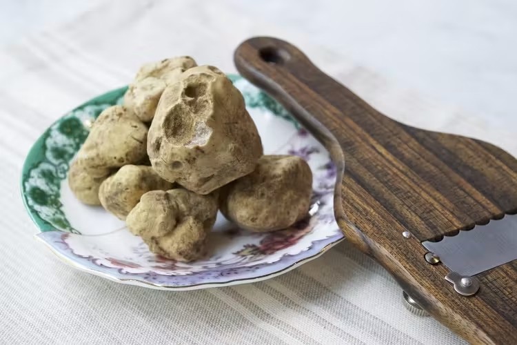 Nam truffle duoc vi nhu 