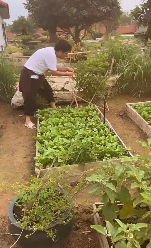 Vo chong Truong Giang - Nha Phuong so huu 'biet phu' hang nghin met vuong-Hinh-10