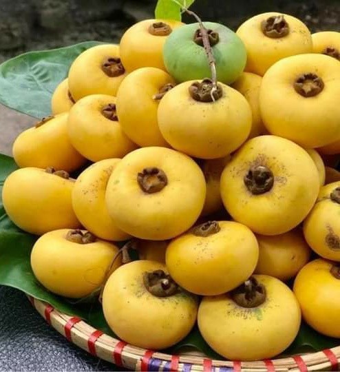 Thi sap nho tro nen dat do, gia 150.000 dong/kg-Hinh-12