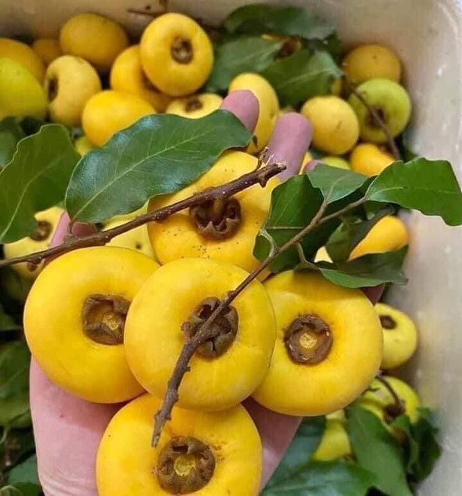 Thi sap nho tro nen dat do, gia 150.000 dong/kg-Hinh-6