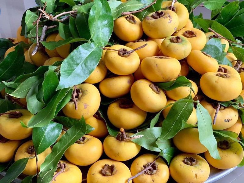 Thi sap nho tro nen dat do, gia 150.000 dong/kg-Hinh-9