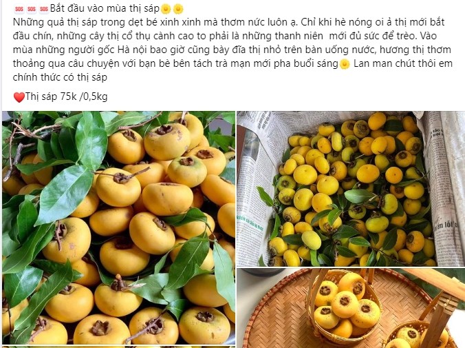 Thi sap nho tro nen dat do, gia 150.000 dong/kg