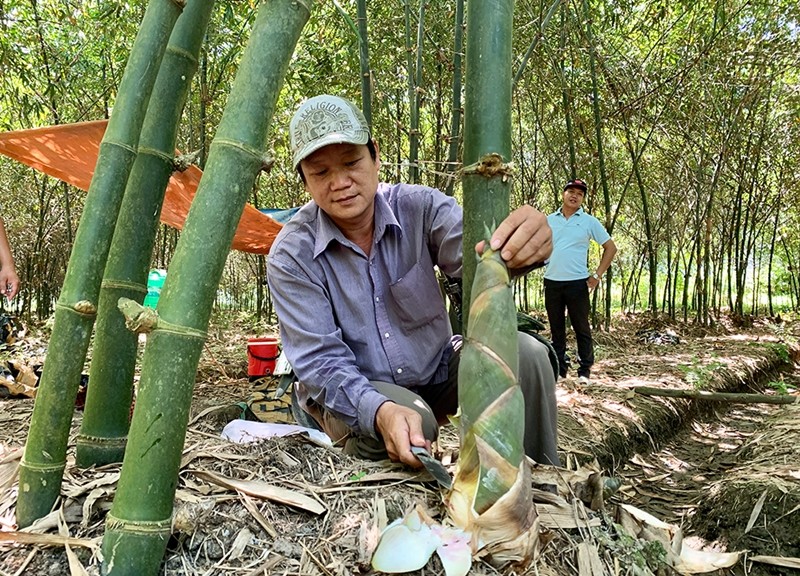 Nhung loai cay dai giup nong dan lam giau