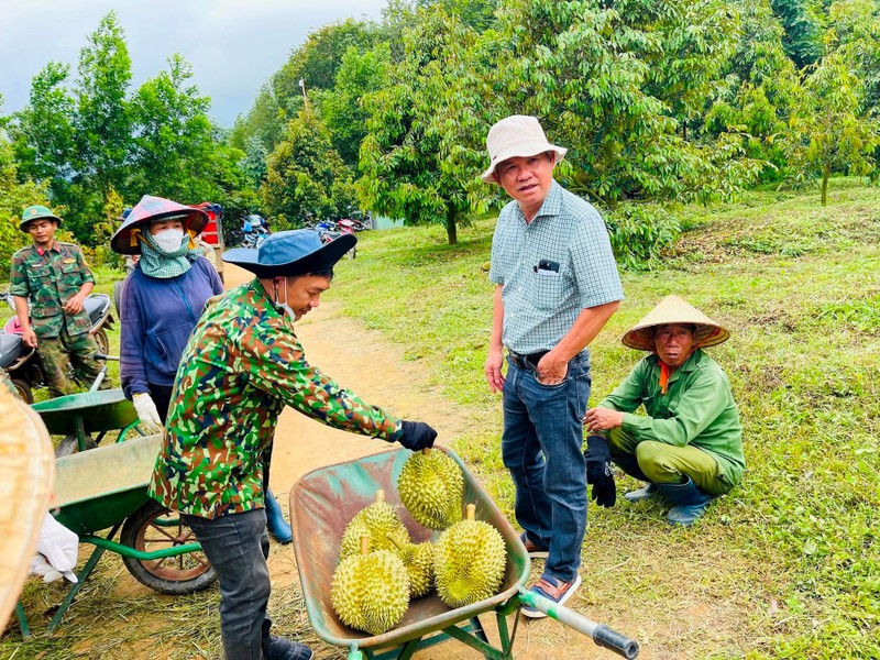 Di xem vuon sau rieng lon nhat the gioi cua ong Doan Nguyen Duc