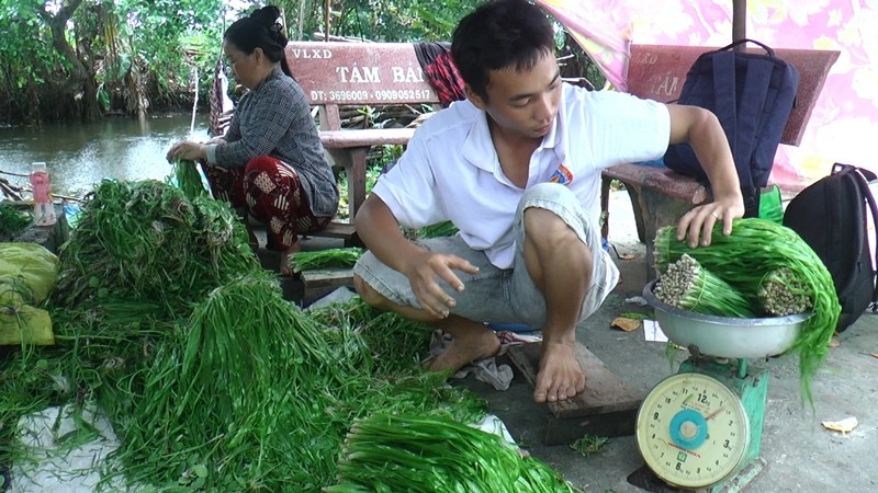 Nong dan kha len nho loai cay dai nay-Hinh-11