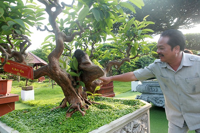 Dai gia Thai Nguyen so huu vuon bonsai bac ty-Hinh-9