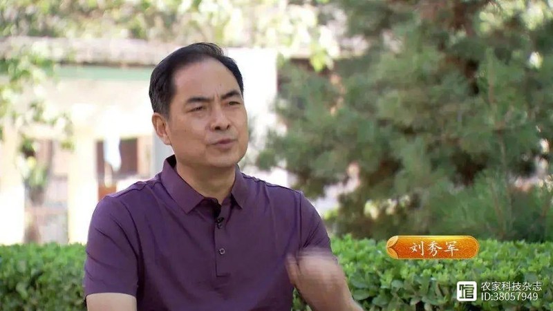 Khoi nghiep o tuoi 45 ban rau dac biet, nguoi dan ong kiem hon tram ty moi nam