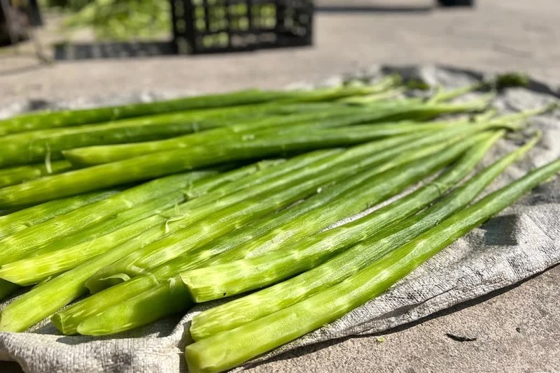 Gia gan 500.000 dong/kg nhung rau tien van dat hang-Hinh-5