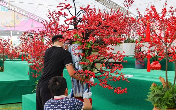 Ngo ngang 'dao dong do' Winterberry gia tram trieu hut dai gia-Hinh-10