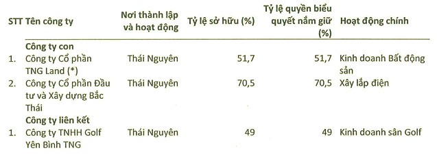 Det may TNG khong con la cong ty me cua TNG Land-Hinh-2