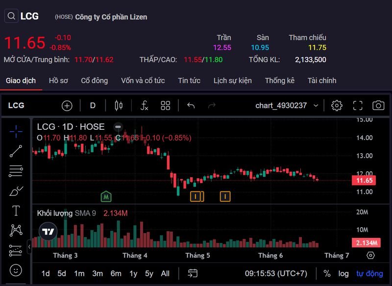 LCG phat hanh them gan 3,5 trieu co phieu ESOP-Hinh-2