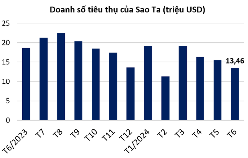 Sao Ta dem ve 95 trieu USD doanh so trong 6 thang dau nam