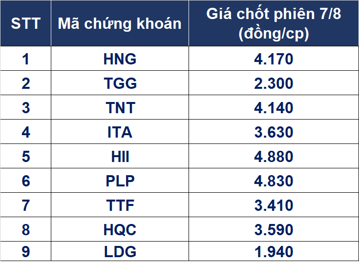 Nhung co phieu tren san HoSE gia bang 'coc tra da'-Hinh-2