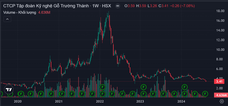 Nhung co phieu tren san HoSE gia bang 'coc tra da'-Hinh-3