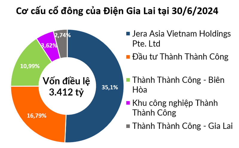 Dien Gia Lai ganh no 10.000 ty, co 4 du an dien phai cung cap thong tin-Hinh-3